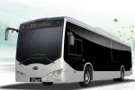 BYD EBUS-12 Электроавтобус (спецтранстпорт)