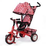 TILLY Zoo-Trike 