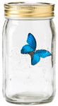 Сувенир «Вечная бабочка голубая Морфо»